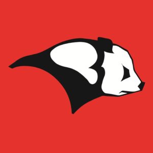 panda logo