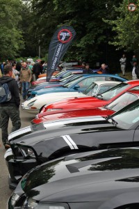 Erskine 2014 Row of cars